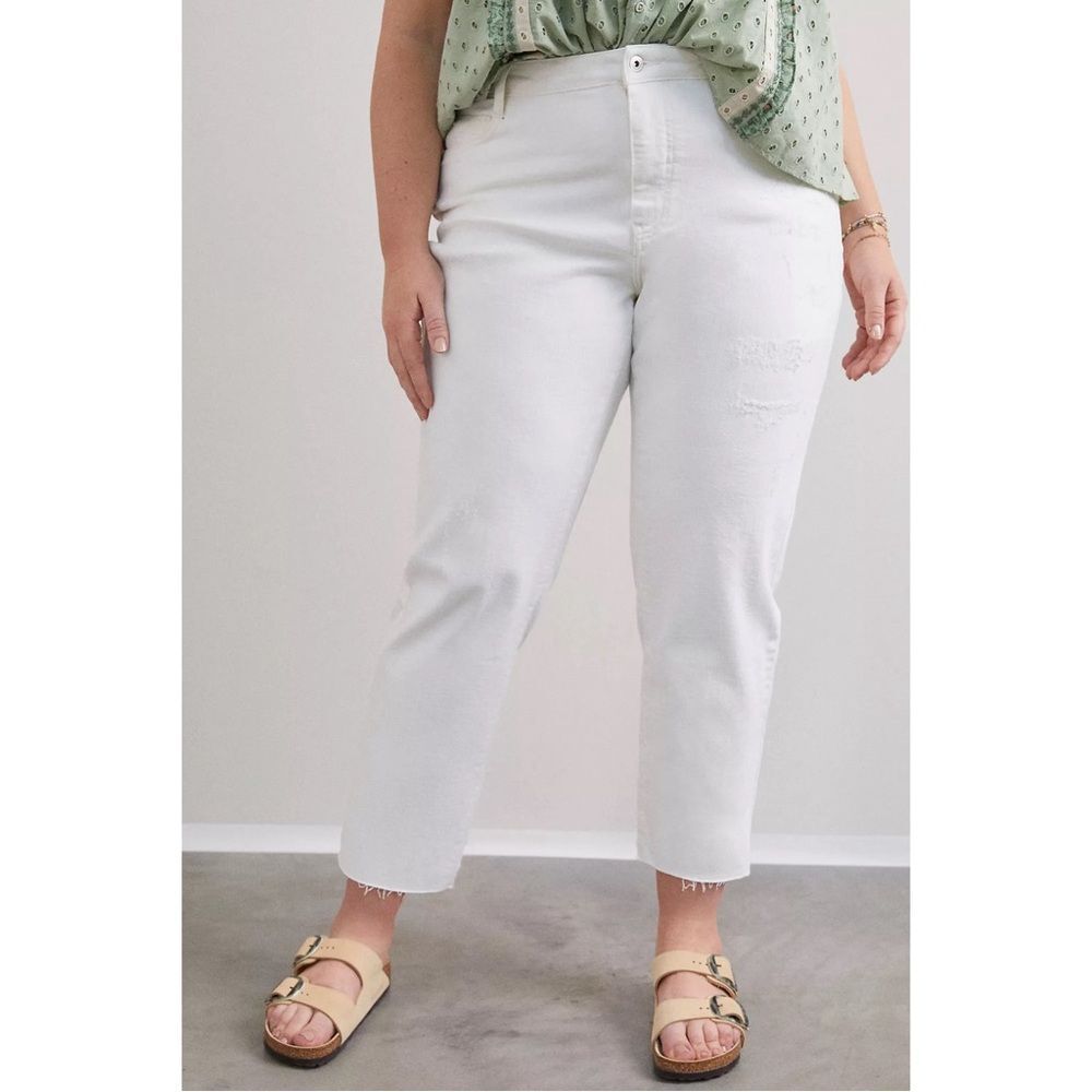 PILCRO ANTHROPOLOGIE The Borrowed Boyfriend Jeans 26